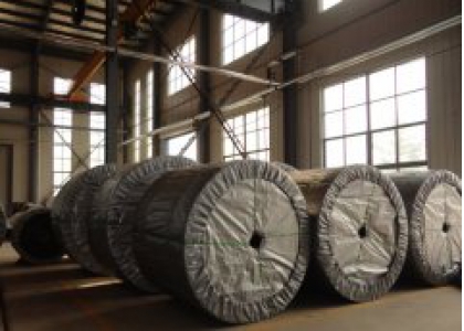 ENGLISH >> ABOUT US >> Corporate Culture_Shandong Phoebus Rubber Co., Ltd.